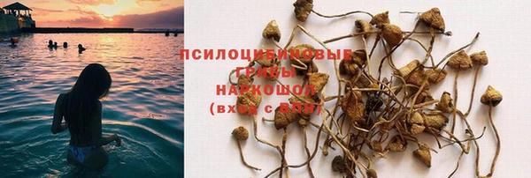 крисы Заволжск
